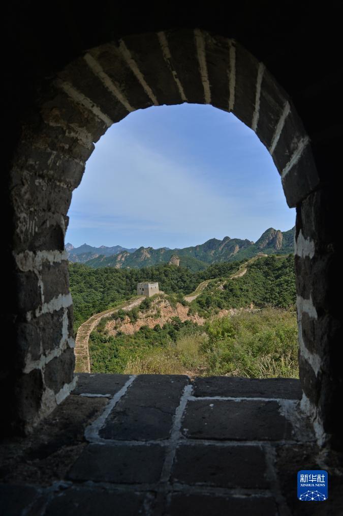 苹果机老虎机